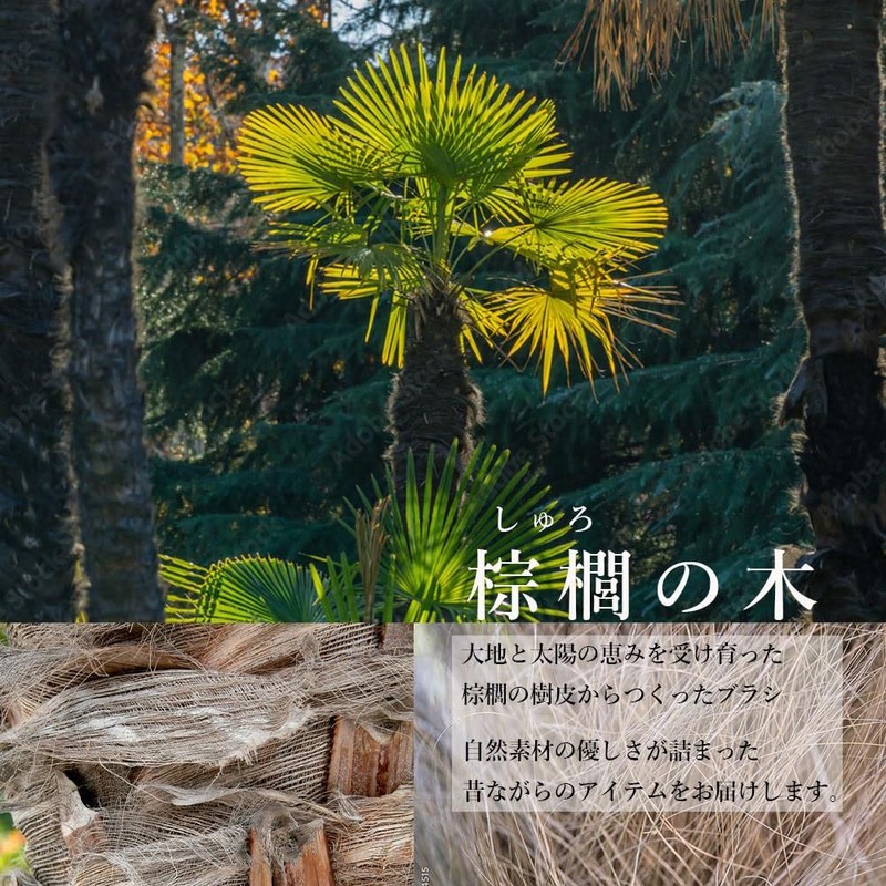 Save Brush Scourer Kitchen Brush Kitchen Scrubber Brush Sustainable Eco-Friendly