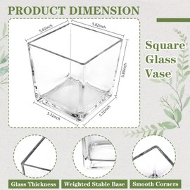 Comrzor 1 Pack Square Glass Vase 6" x 6" x 6", Clear Flower Vase for Centerpieces, Candle Holder for Wedding Party Events, Home Décor
