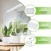 FOXGARDEN Grow Light for Indoor Plants Growing, Full Spectrum Gooseneck