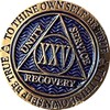 25 Year AA Medallion Dusty Blue Color Gold Plated Chip