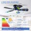 41 inch Ceiling Fans with Lights, Black Flush Mount Ceiling