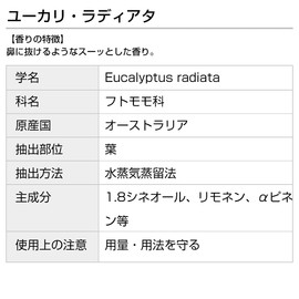 Eucalyptus Radiata 1.0 fl oz (30 ml) Incent Essential Oil