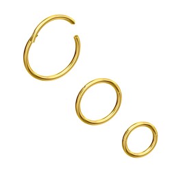 NORO OLO Titanium 3PCS-18G Gold Anodised Hinged Clicker Nose Hoop Piercing Rings, Hypoallergenic 1.0mm Segment Seamless Cartilage Sleeper Helix Earring for Women-6/8/10mm