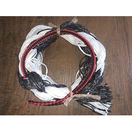 EPT Bull Ropes Adult Saddle Bronc Rein Extra Soft Black & Red Cord on Black & White Mix Poly 6'