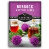Burdock Seed for Planting - 1 Packet with Instructions to