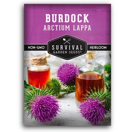 Burdock Seed for Planting - 1 Packet with Instructions to Plant & Grow Burdock Root (GOBO) in Your Home Vegetable Garden - Burdock Plant - Non-GMO Heirloom Variety Herb Seeds - Survival Garden Seeds