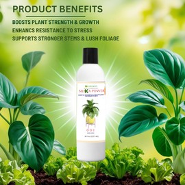 SiliKa Power – Premium Liquid Silica Plant Fertilizer and Supplement (8 oz) to Strengthen, Protect and Boost Growth