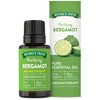 Nature's Truth Bergamot Essential Oil | 15 mL | for
