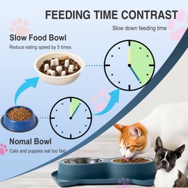 AKEISHE 3-in-1 Slow Feeder Cat Bowls Set | Stainless Steel Anti-Gulp & Weighted Dish with Non-Slip Mat | Stops Vomiting & Hairballs, Designed for Pet Wellness for All Breeds