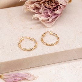 Carissima Gold Women's 9 ct Yellow Gold 22.5 mm Twist Hoop Creole Earrings
