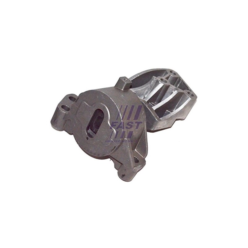 Fast FT52407 - Lagerung, Motor