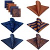 Shlax&Wing 5 Pieces Assorted Pañuelo De Bolsillo Para Hombre Handkerchiefs