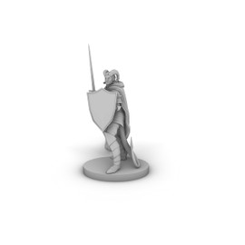 Tiefling Paladin Tabletop DND Gaming Miniature