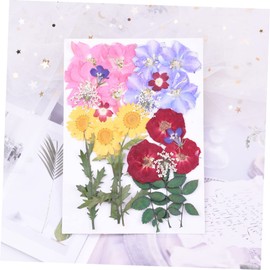 Angoily 2 Sheets 24pcs Flower Stickers Floral Decals Scrap Book Stickers Flower Sticker Laptop Decals Facial Stickers Laptop Sticker Botanical Stickers Applique Dried Flowers