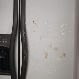 Stainless Steel Cleaning Cloths, Set of 3