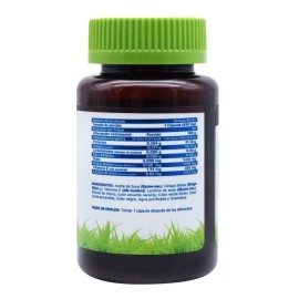 Ginkgo Biloba 90 Capsulas Vidanat Sabor Ninguno