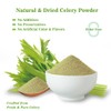 Fraunitsh Celery Powder, 5oz, Pure Celery Greens Powder, Fresh Green