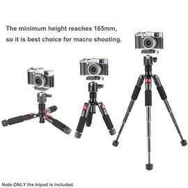 NEEWER Mini Stativ für Kamera mit 360°Kugelkopf Aluminiumlegierung 20"/ 50cm 1/4" Arca Type QR Plate,tragbares Desktop Reisestativ für DSLR Kamera Video Camcorder, maximale Belastung: 11lb/5kg