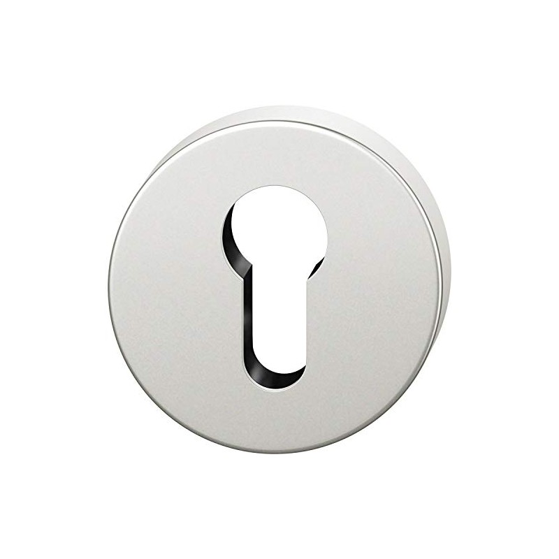 FSB 0 17 1735 01510 0105 Silver AGL Profile Cylinder