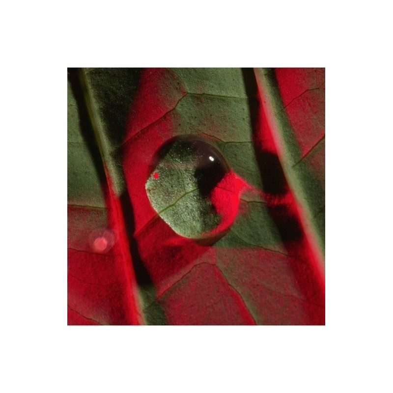 [Exclusive Set] NEW Total Eye Lift (Eye Serum) 15ml (+