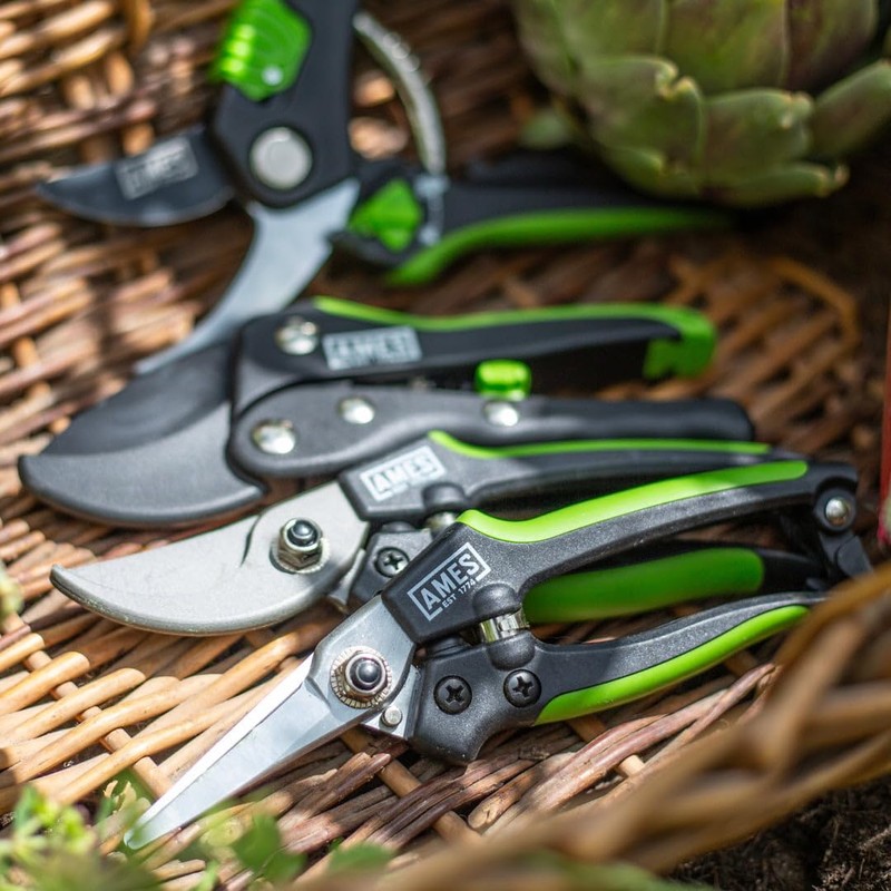 AMES Precision Snips