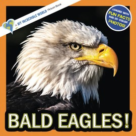 Bald Eagles!: A My Incredible World Picture Book for Children