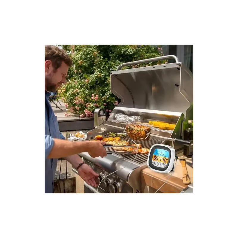 Termómetro Digital Cocina Para Carne, Doble Sonda Para Horno Plateado