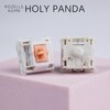 Holy Panda Mechanical Keyboard Switch, 3Pin Pre Lubed, 67g Extended