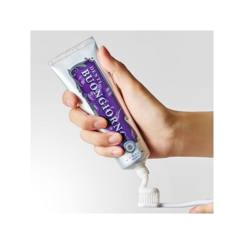 Atosafe Dentibonjourno Gum Care Toothpaste 100g 10 Packs / 아토세이프