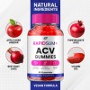 Rapid Slim (2 Pack) Rapid Slim ACV Gummies Supplement –