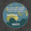 Rid-X 2 PACK - RID-X Septic Treatment, 5 Month Supply