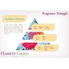 Hassett Green London - Endless Ocean Scented Drawer Liners -