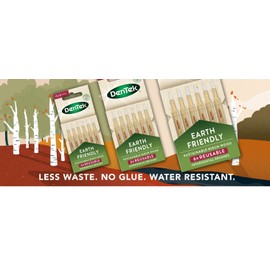 DenTek Earth Friendly Birch Wood Interdental Brushes ISO2/0.5mm - 6 Count x 6 Packs (36 Brushes)