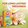 Arm & Hammer Carpet Deodorizer Powder, Extra Strength Carpet Odour