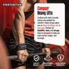 PORTENTUM® Straps Gym - Cable Ties for Weight Lifting -
