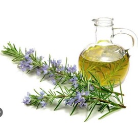 Rosemary Essential Oil, 100% Natural, Aromatherapy Grade, Therapeutic Grade, for Hair Growth and Skin Care (100ml, Rosemary)
