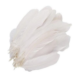 ericotry 100PCS Natural Goose Feather for DIY Craft Wedding Party Home Clothing Decoration (6-9inch)
