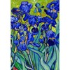 CafePress Van Gogh Irises 1889 Rectangle Magnet, 3"x2" Refrigerator Magnet