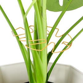 6PCS Iron Monstera Plant Support, Uniquely Designed Indoor Plant Accessories, Stable Plant Support Stakes for Indoor Plant, Turtle Shell Bamboo Clamp Set for Thriving Growth