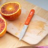 OPINEL Essential No.113 Serrated Paring Knife, Hornbeam Handles, Made in