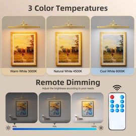 Brightown Picture Light Battery Operated with Remote,16in Picture Lights for Paintings, 5000mAh Battery Operated Picture Light for Wall, Wireless Remote Painting Light with Timer and Dimmable,Gold