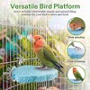 4 PCS Bird Beak Grinding Stone, Bird Perches for Cage,