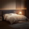 tooluck Modern Queen Bed Frame with Headboard All Metal Slats