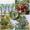 Large Fruit Tree Netting Bags with Zipper and Drawstring, Bird