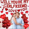 Will You Be My Girlfriend - 554 Pcs Balloons Decorations