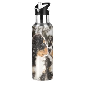 Bernese Mountain Dog Water Bottle Kids Insulated Boys Girls Stainless Steel Straw Lid 20 oz Hot Cold Water Flask School Sport