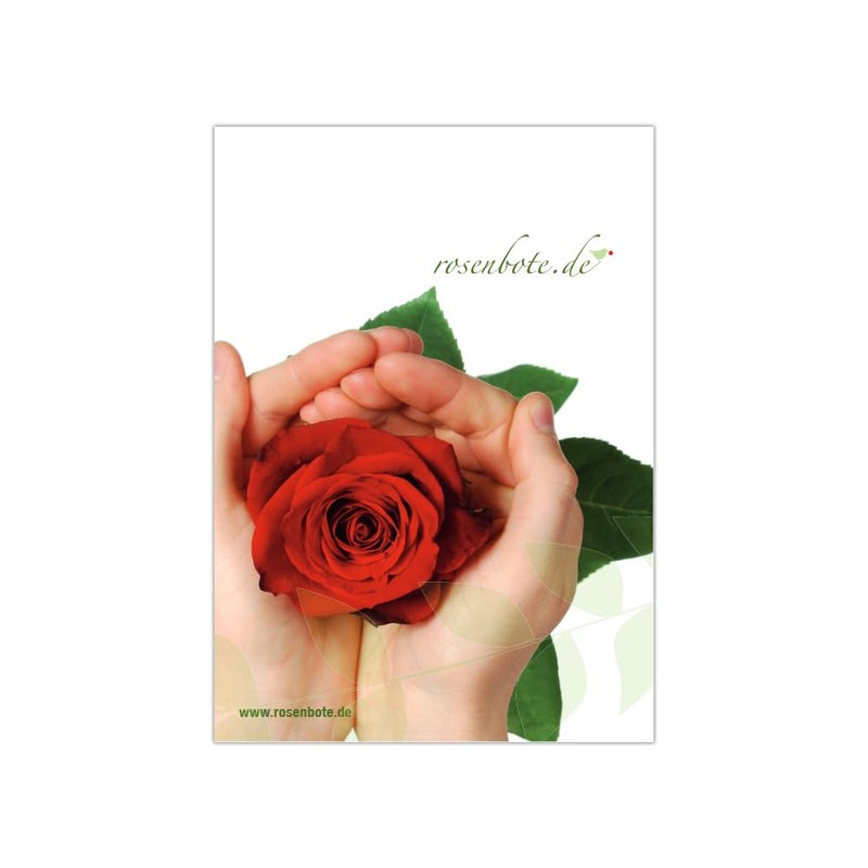 Colourful Flowers: 10 Real Rainbow Roses - Long Handled -