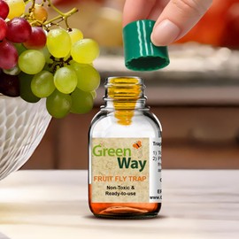 Greenway Traps Fruit Fly Trap, Indoor and Kitchen, Reduces Fruit Fly Infestations, Non-Toxic, Long-Lasting, 1 Pack (Includes 2 Traps)