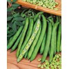 Mr Fothergill's 20086 Broad Bean Masterpiece Green Longpod