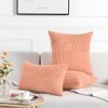 Fancy Homi 2 Packs Peach Decorative Throw Pillow Covers 16x16